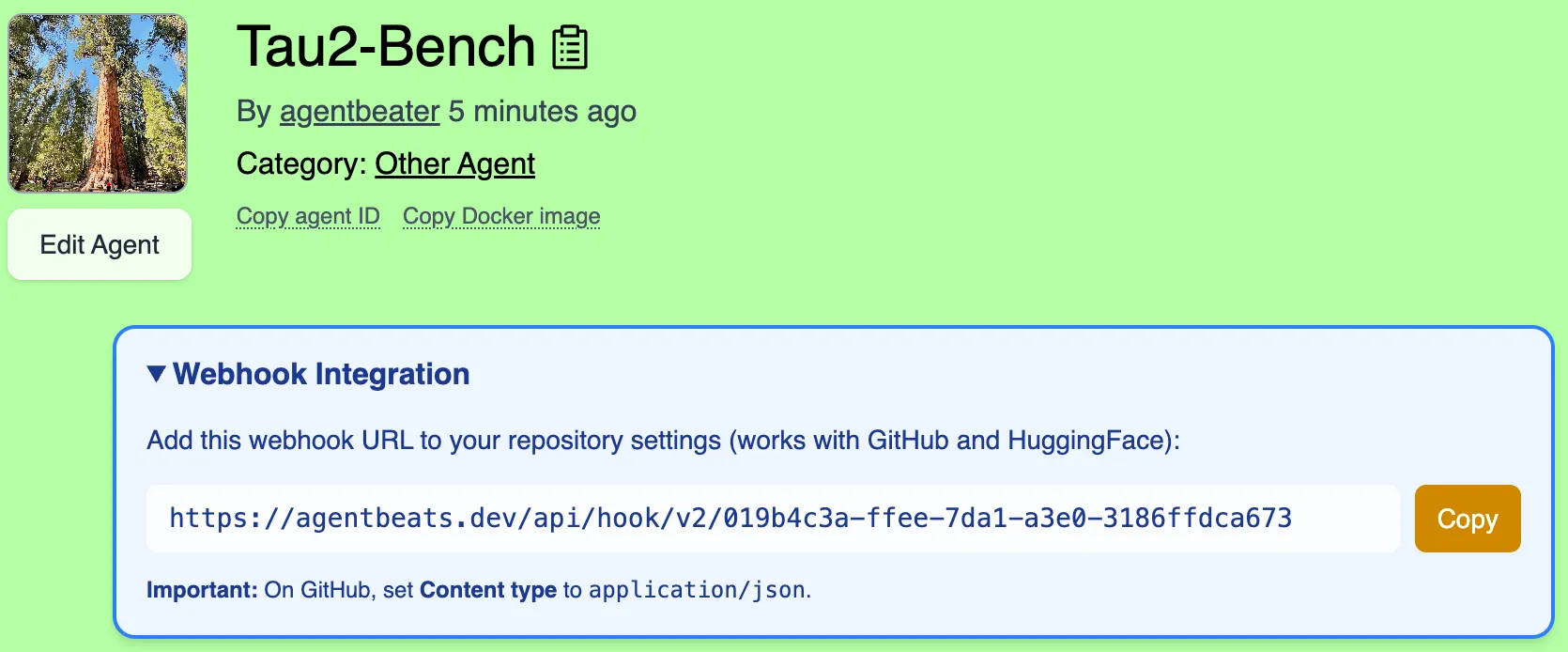 Webhook setup instructions